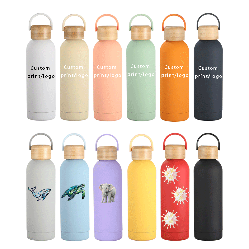 Eco Friendly Stainless Steel Double Wall Insulated Vacuum Bottle With Cap Water Bottles